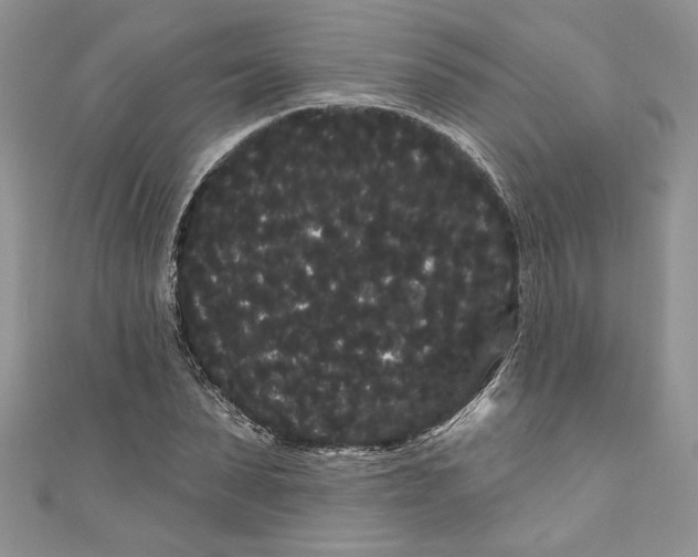 X0000111050879200907161403