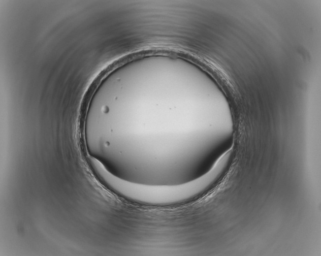 X0000111050880200907161403