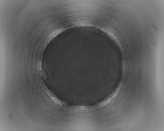 X0000111050881200907161403