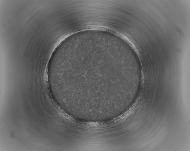 X0000111050883200907161403