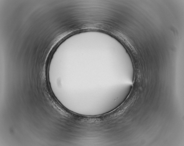 X0000111050884200907161403