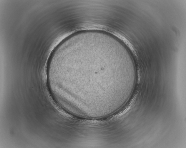 X0000111050885200907161403