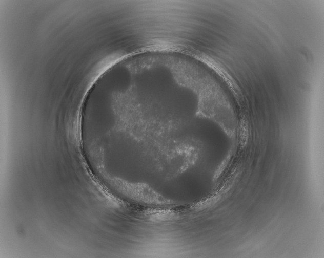 X0000111050886200907161403