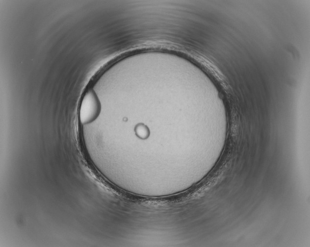 X0000111050888200907161403