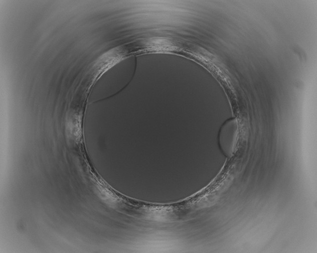 X0000111050889200907161403