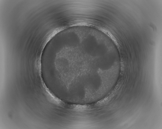 X0000111050890200907161403