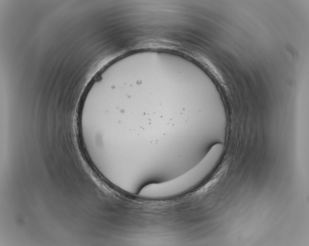 X0000111050893200907161403