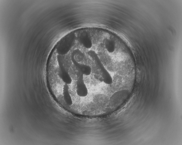 X0000111050895200907161403