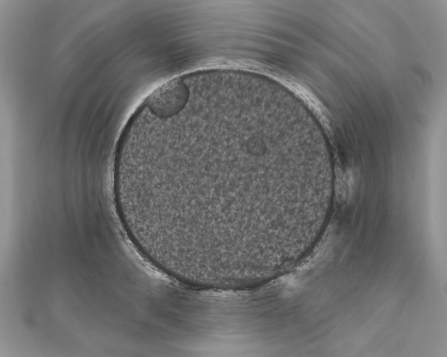 X0000111050896200907161403