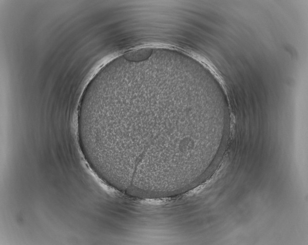 X0000111050898200907161403