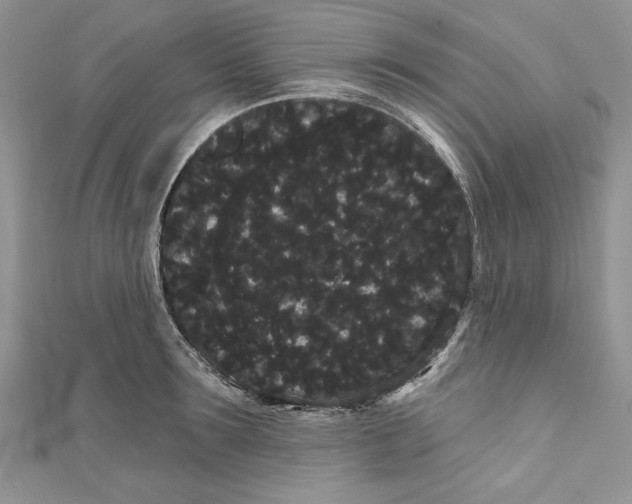 X0000111050899200907161403