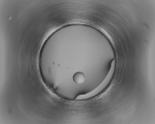 X0000111050901200907161403