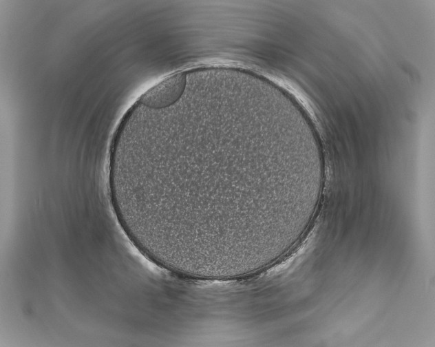 X0000111050902200907161403