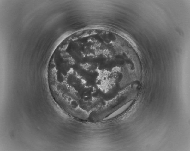 X0000111050907200907161403