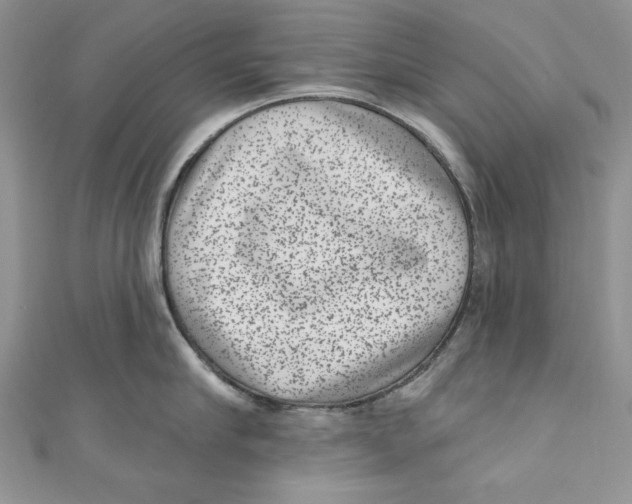 X0000111050910200907161403