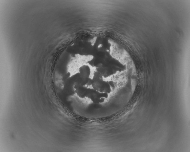 X0000111050913200907161402