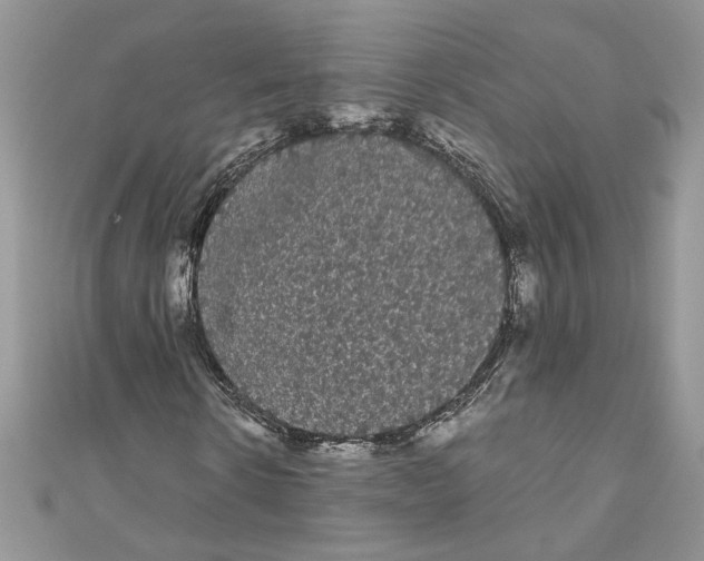 X0000111050914200907161402