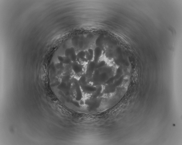 X0000111050917200907161402