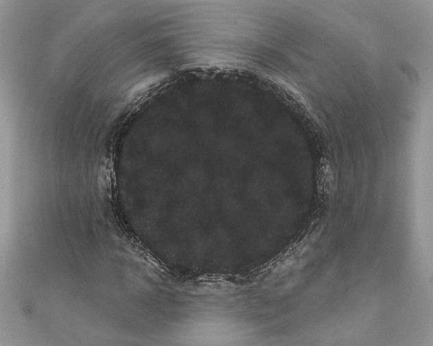 X0000111050918200907161402