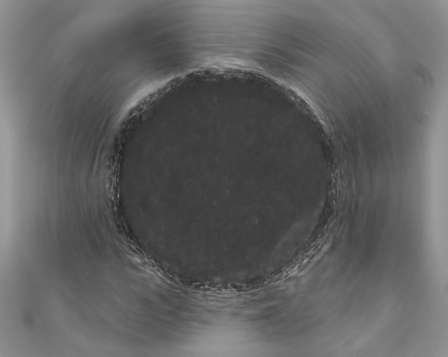 X0000111050919200907161402