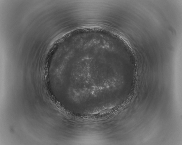 X0000111050920200907161402