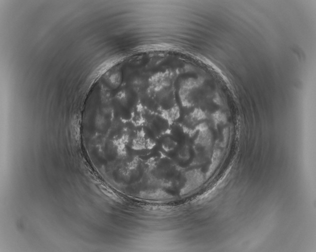 X0000111050921200907161402