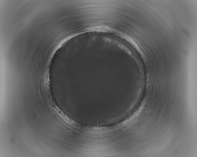 X0000111050923200907161402