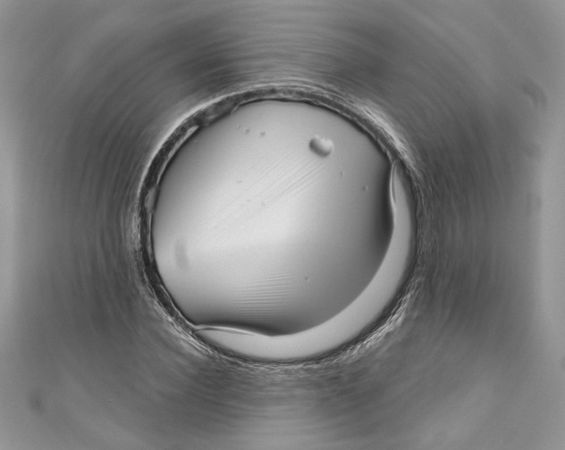 X0000111050924200907161402