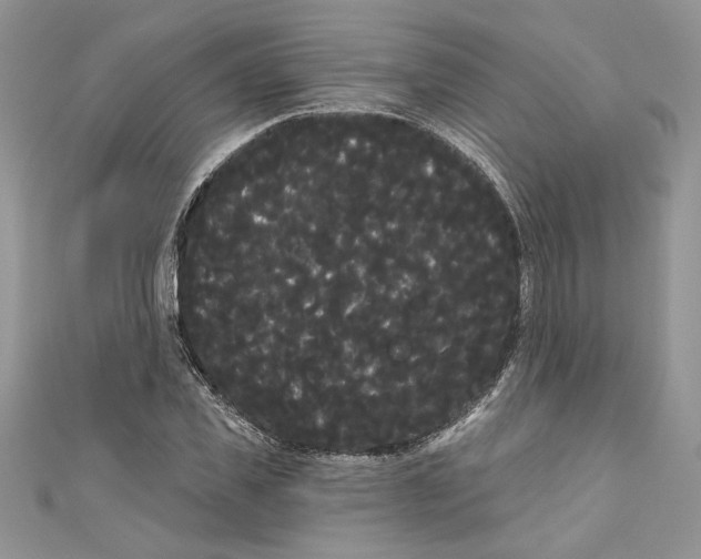 X0000111050925200907161402