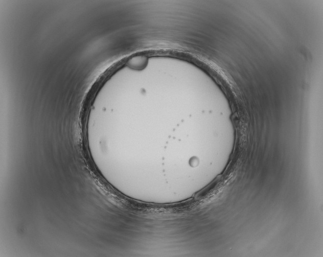 X0000111050927200907161402