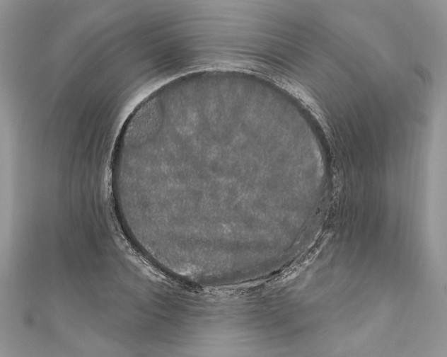 X0000111050928200907161402