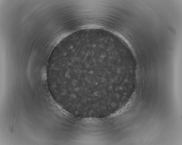 X0000111050929200907161402