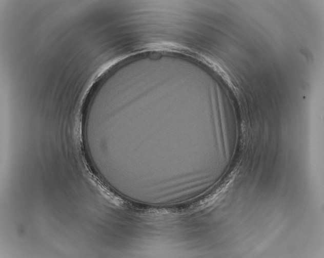 X0000111050931200907161402