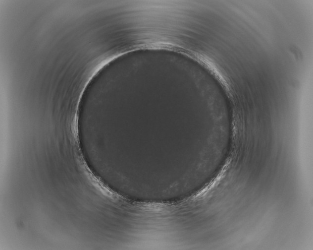 X0000111050932200907161402