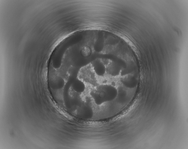 X0000111050933200907161402