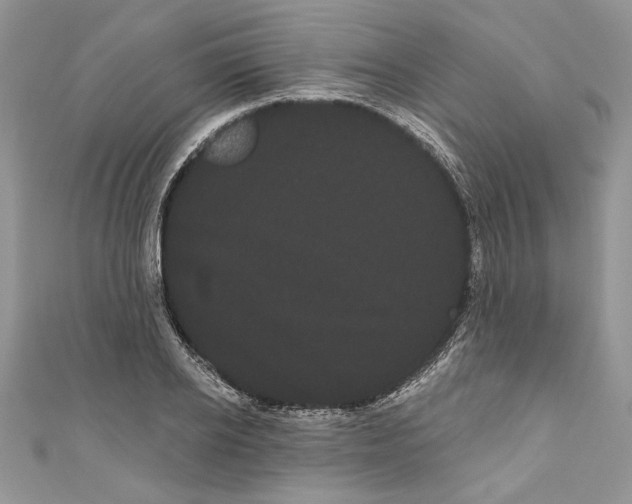 X0000111050934200907161402