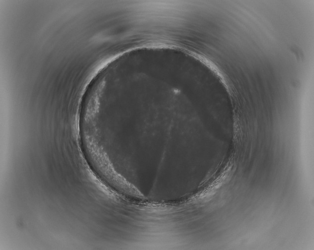 X0000111050935200907161402