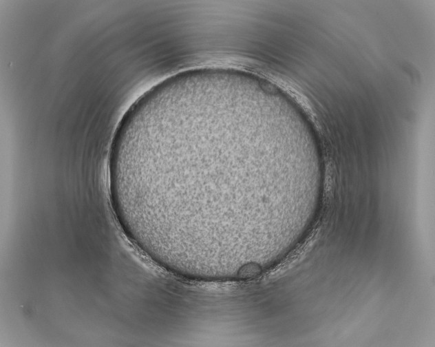 X0000111050936200907161402