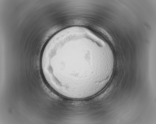 X0000111050938200907161402