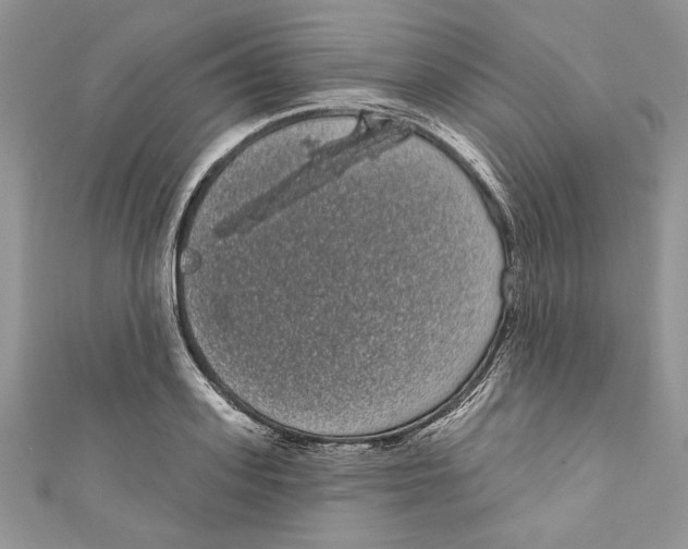 X0000111050939200907161402