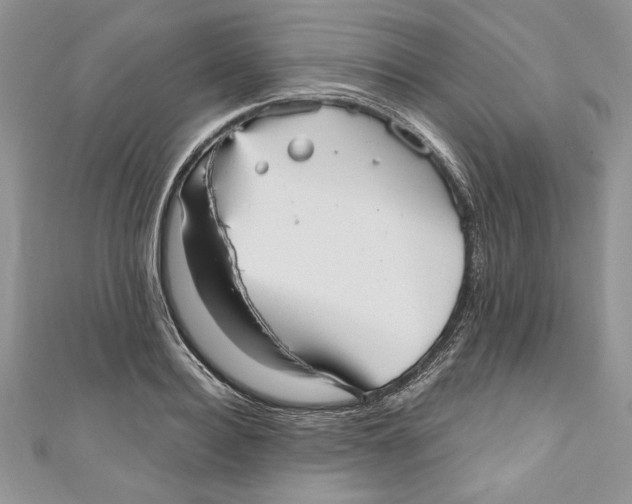 X0000111050940200907161402