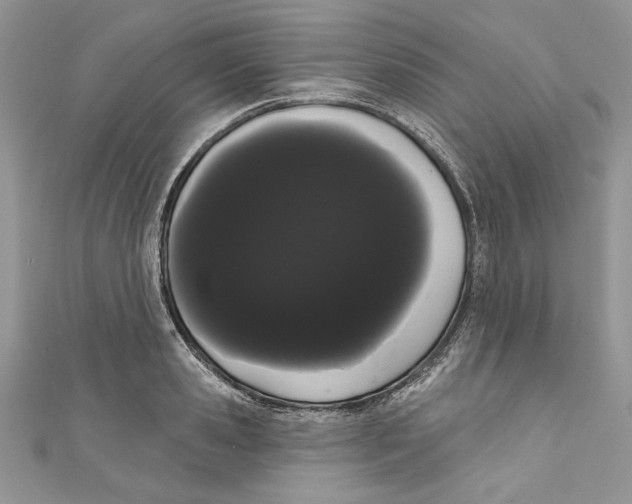 X0000111050941200907161402