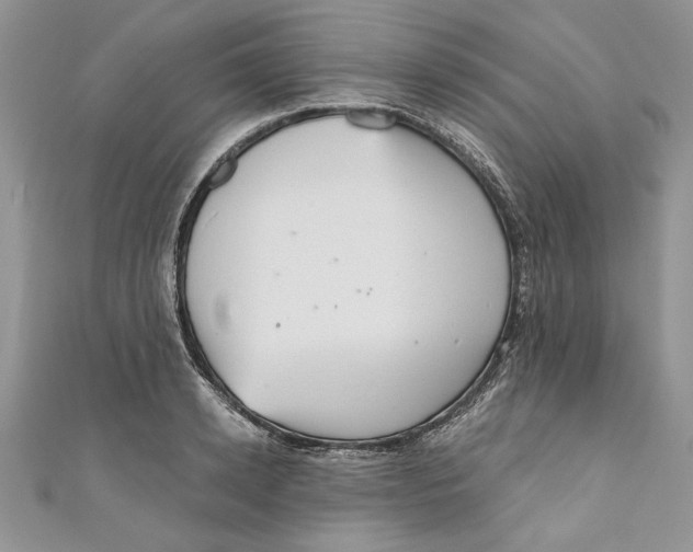 X0000111050942200907161402