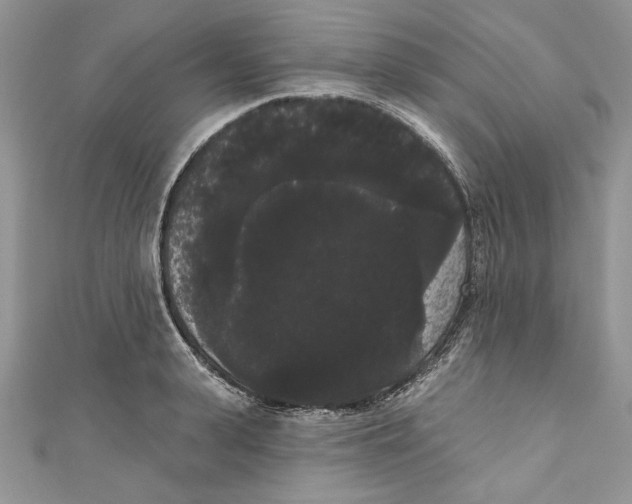 X0000111050943200907161402