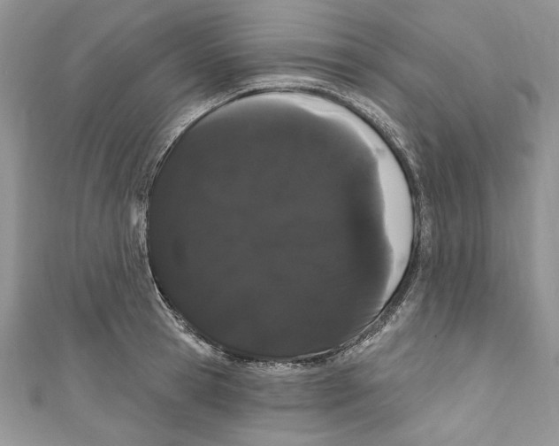 X0000111050945200907161402