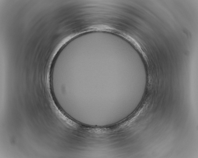 X0000111050947200907161402