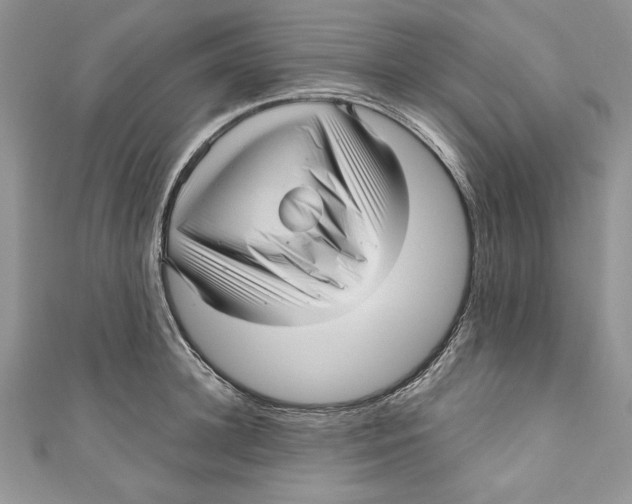 X0000111050948200907161402