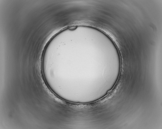 X0000111050949200907161402