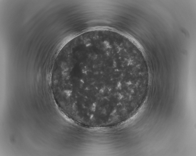 X0000111050953200907161402