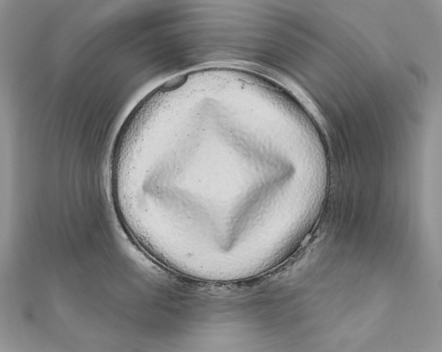 X0000111050955200907161403